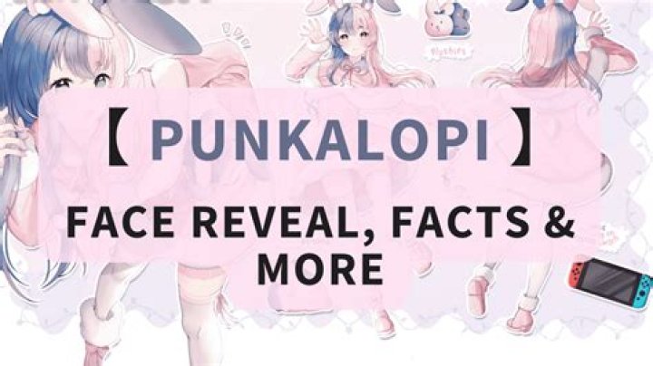 Discoveries And Insights On Punkalopi Face Reveal