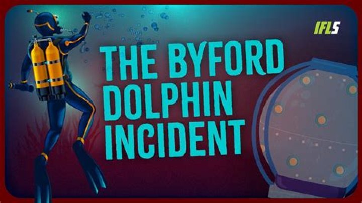 Dolphin Diving Bell Incident And Its Profound Insights