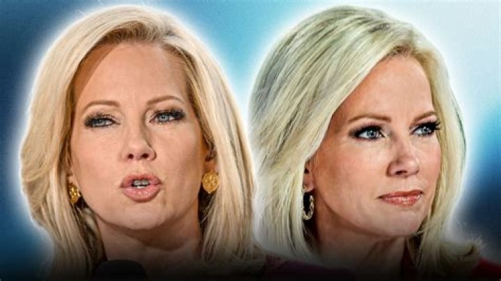 Shannon Bream's Journey As A Mother