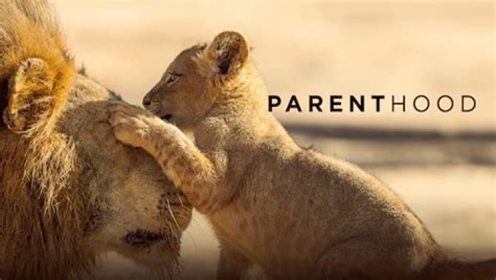 Taylor Paul's Parenthood Journey And Impact