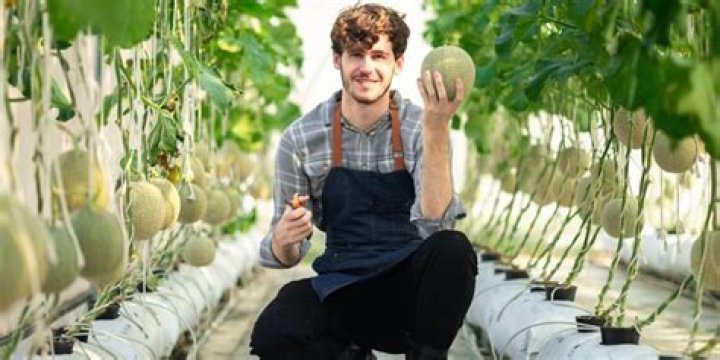 The Profound Impact Of "Melonfarmerswife Leaked"