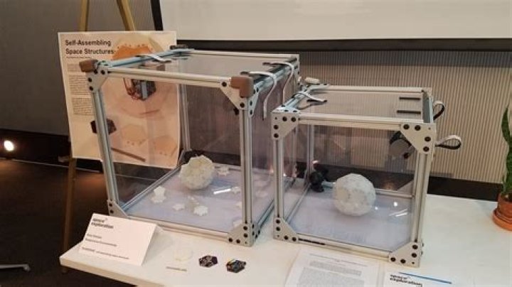 Unveiling The Visionary World Of Ariel Ekblaw: A 3D Printing Pioneer